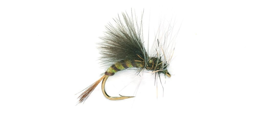 Don't Lead Me On: Tippet Length For Dry Flies - Fly Fishing