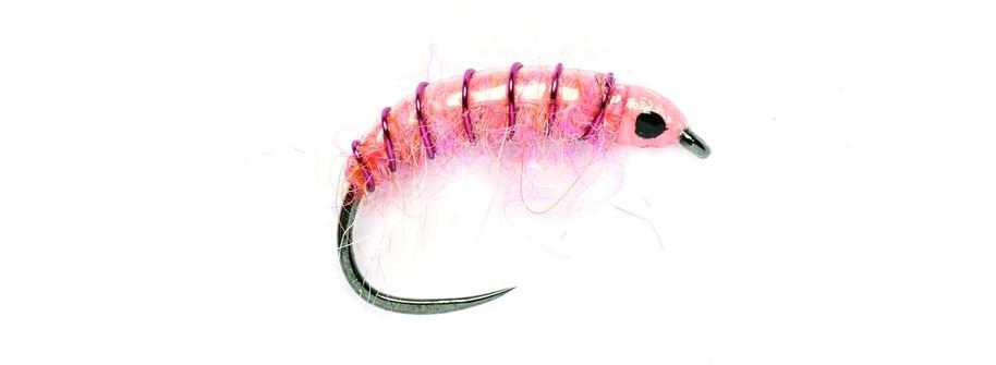 winter grayling pink shrimp
