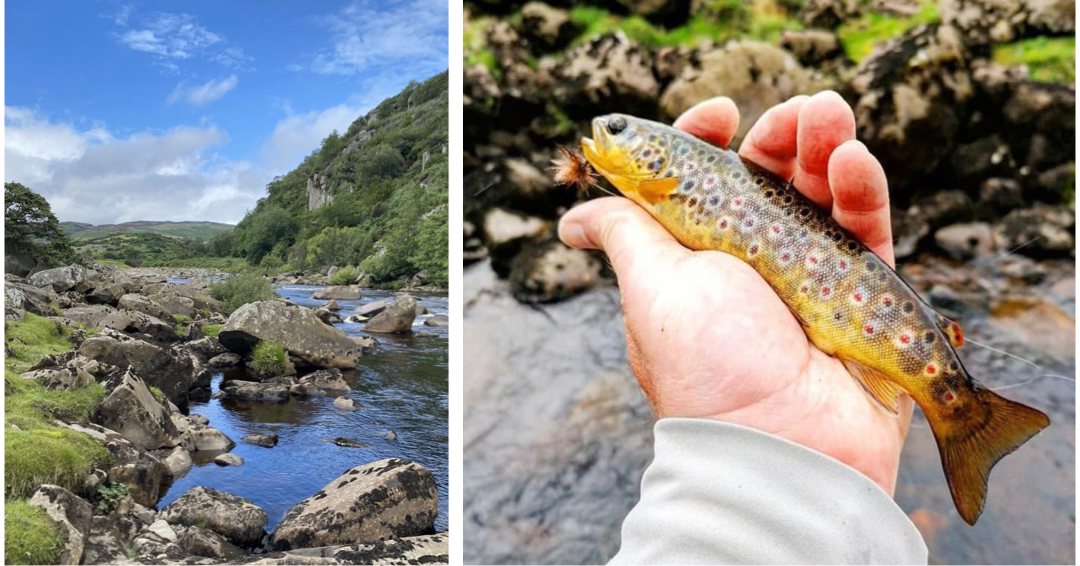 A photograph of the rocky river as well as a photo of a small wild brown trout in hand.