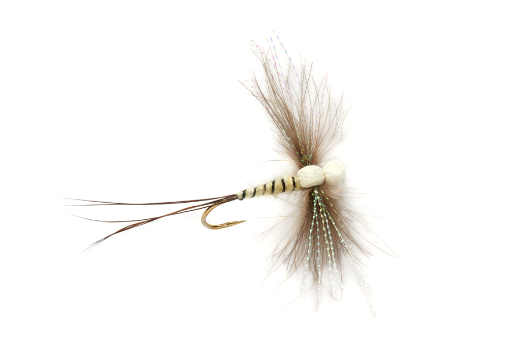 The Mayfly is one of the most anticipated times of the year. Learn from the best as Paul Procter shares his tips for fishing it effectively!