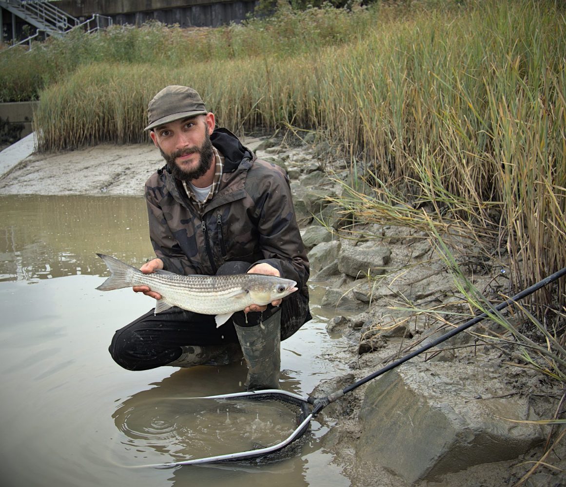 Josh Allen with a thin lipped mullet caught on the fly.