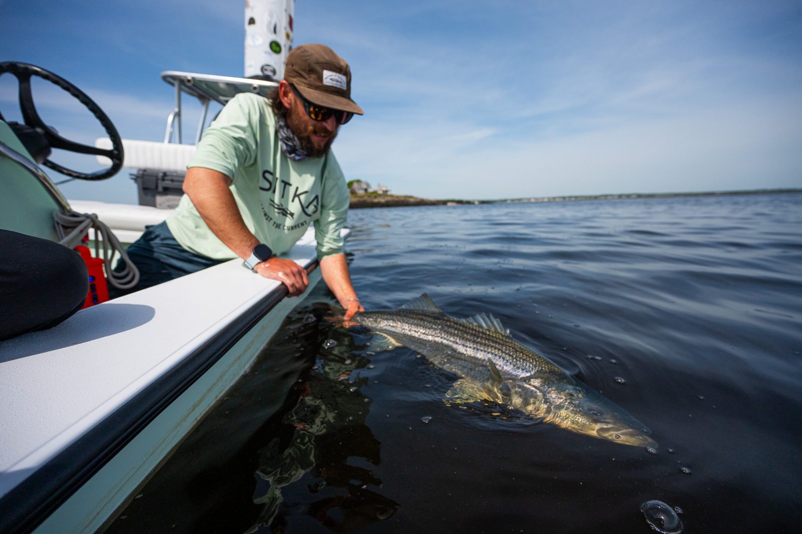 Striper Flies and Q&A with Signature Tyer Ben Whalley - Fulling
